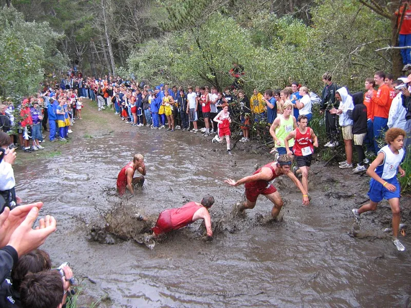 Sea Level to Summit: Building Your Marathon Training Block Around Cyprus Running Clubs